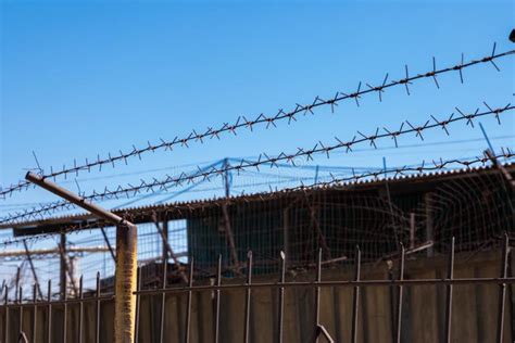 Steel Barbed Wire on the Fence in the Prison. Close-up Stock Image ...