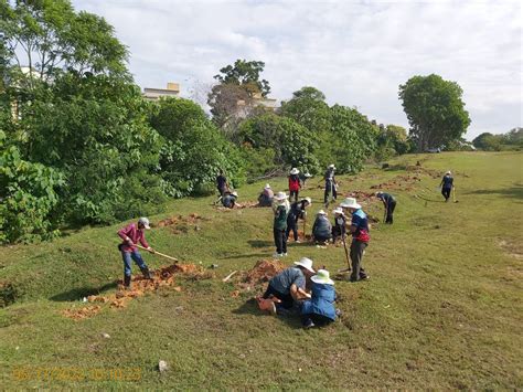 Mmu Paticipates In The Largest Gutta Percha Tree Planting Event