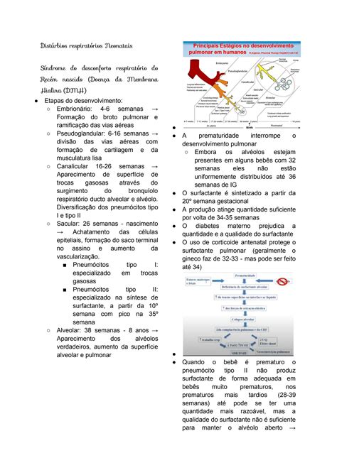 Solution S Ndrome Do Desconforto Respirat Rio Do Rec M Nascido Studypool