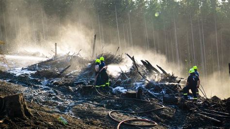 Waldbr Nde Vorbeugen Ein Experte Erkl Rt Was Jetzt Zu Tun Ist Noz