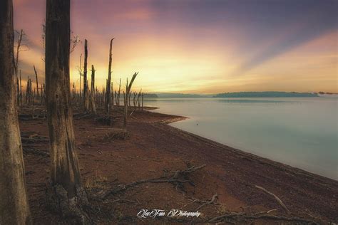 Timbers, Australia