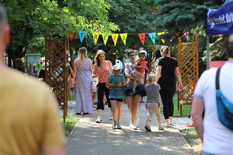 Tydzień otwarty początek zapisów na zajęcia Amfiteatr Miejski