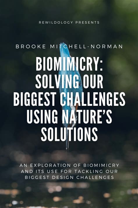 82 Show Notes Biomimicry Solving Our Biggest Challenges Using Natures Solutions Rewildology