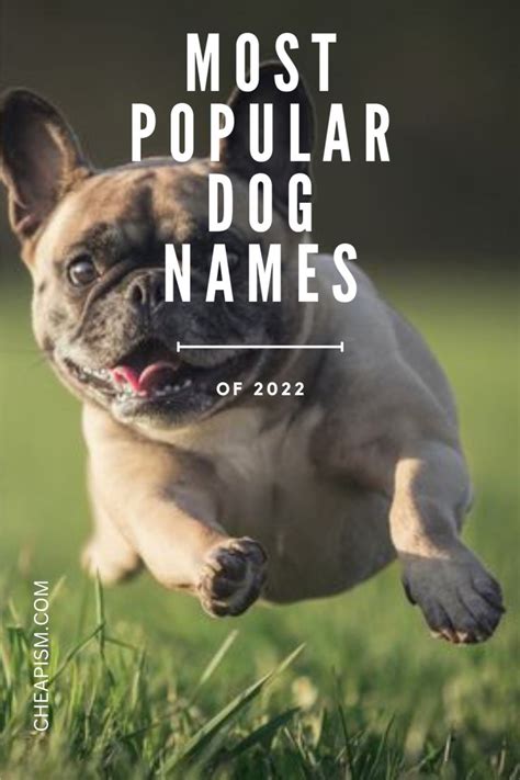 The Most Popular Dog Names Of 2022