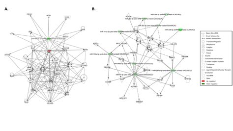 Pdf Sex Specific Microrna Expression Networks In An Acute Mouse Model Of Ozone Induced Lung