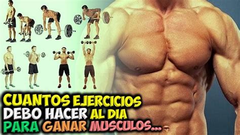 Cuantos Ejercicios Por Grupo Muscular Diario Huesca