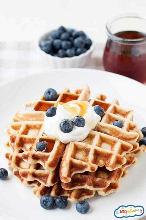 Homemade Waffle Mix (DIY "instant" Waffles!) | MOMables