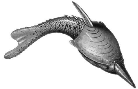 First Vertebrates Jawless Fish