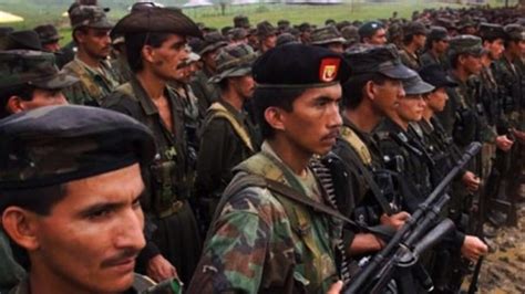 La Guerrilla De Las Farc Cumple 50 Años