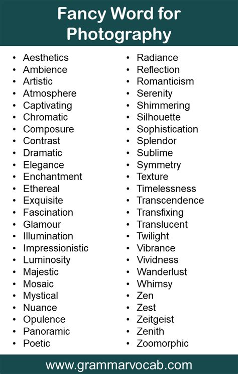 List Of Photography Vocabulary Words Pdf Grammarvocab