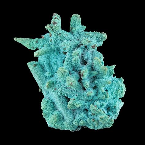 Chrysocolla Pseudomorph After Malachite Replacing Azurite Luputo