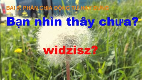 H C Ti Ng Ba Lan Bai M I Ng Y Ph T Polski Wietnamski Hd