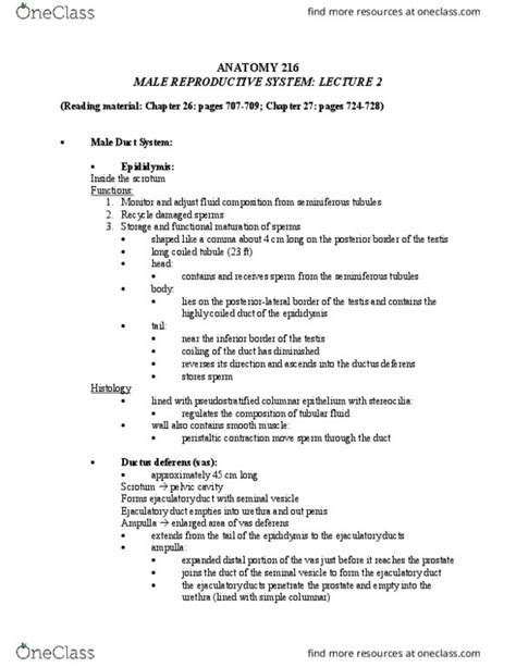 Anat Lecture Notes Fall Lecture Pseudostratified