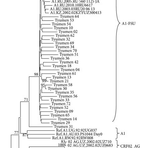 Neighbor Joining Phylogenetic Tree Analysis Of Hiv 1 Pol Gene Fragment