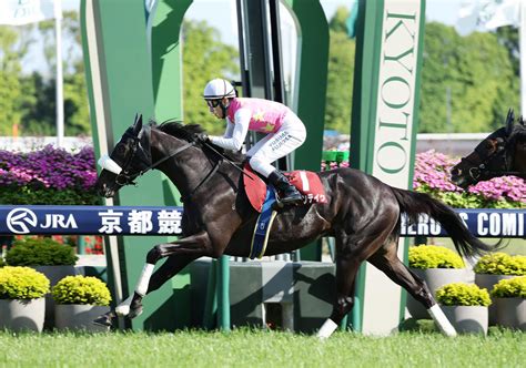 ジューンテイク重賞初制覇！大舞台へ賞金加算に成功！／京都新聞杯 3歳馬特集 競馬写真ニュース 日刊スポーツ