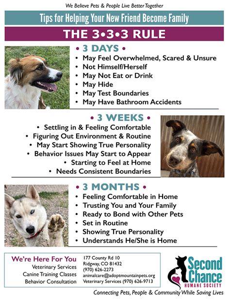 3.3.3 Rule for Adopting a Dog - Second Chance Humane Society