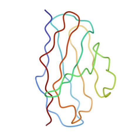 Rcsb Pdb Dwu Cryo Em Structure Of Dengue Virus Serotype Strain