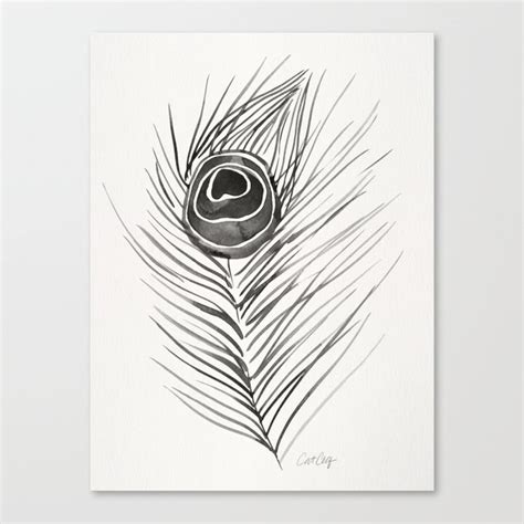 Peacock Feather Black Palette Canvas Print By Cat Coquillette Society6