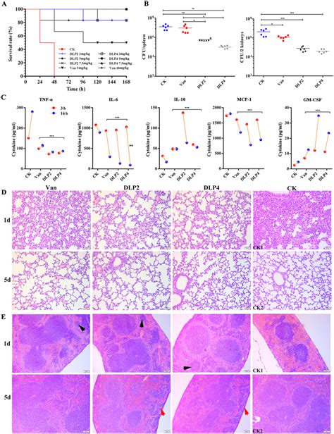 Protection Efficacy In Bacterial Infection Mice Models A Survival Of