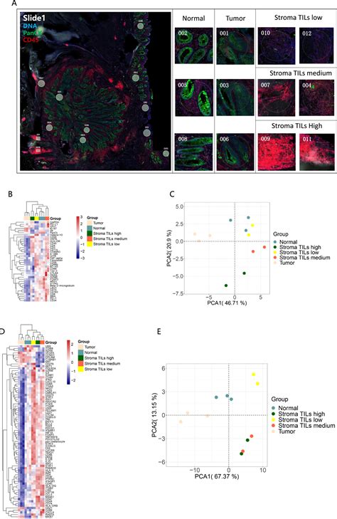 Spatially Resolved Proteomics And Transcriptomics An Emerging Digital