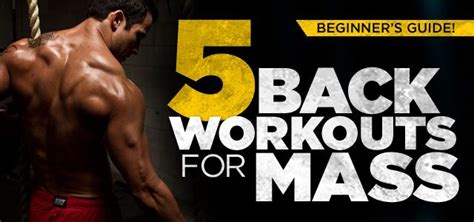 The Best Workouts To Build A Bigger Back Back Workout For Mass Fun