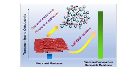 Constructing Fast Transmembrane Pathways In A Layered Double Hydroxide