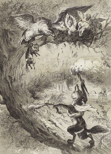 The Fables of Aesop: The Eagle and the Fox stock image | Look and Learn