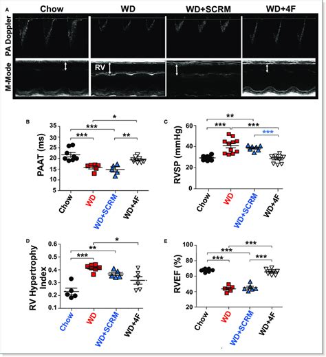 Low Density Lipoprotein Receptor Knockout Ldl R Ko Mice Fed A Western