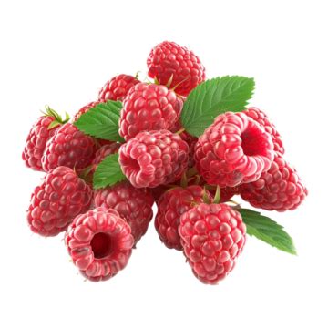 Fresh Vibrant Raspberries Isolated On Transparent Background Fresh