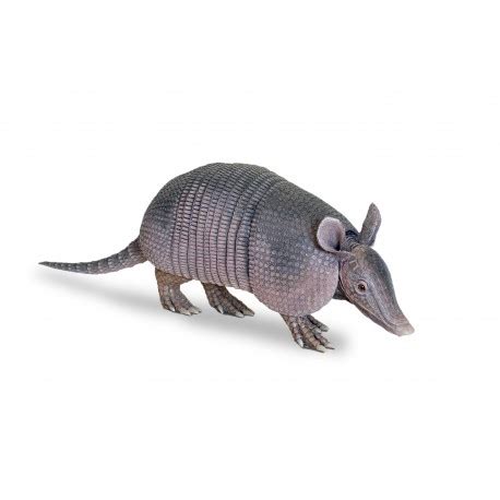 Armadillo statue - Wild Life Replica