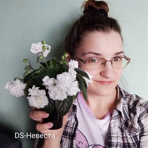 Сорт DS-Невеста Фіалка (Сенполія) на сайті - Фіалки