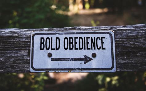 Be Prepared for Tomorrow by Obeying Today — BLOG POSTS — ILI Team