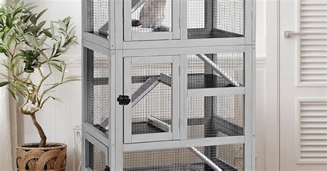 How Much are Ferrets? An Accurate Ferret Price Breakdown