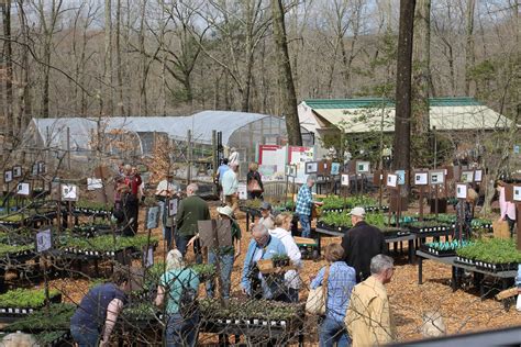 Native Plant Nursery Bowmans Hill Wildflower Preserve