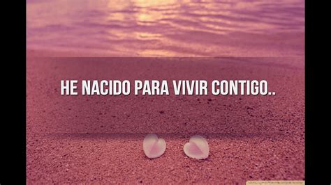 15 Lindas Frases De Amor Para Fotos Frases De Fotografia