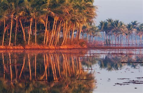 kundaim photo blog  rajan parrikar