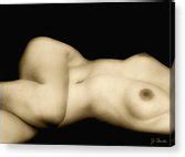 Nude In Repose No Photograph By Joe Bonita Fine Art America