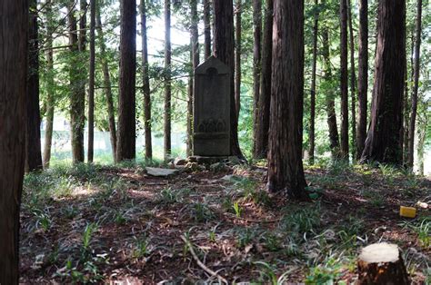 林の中に眠る川角古墳群 鎌倉街道上道 埼玉県入間郡毛呂山町 少し向こう側へ