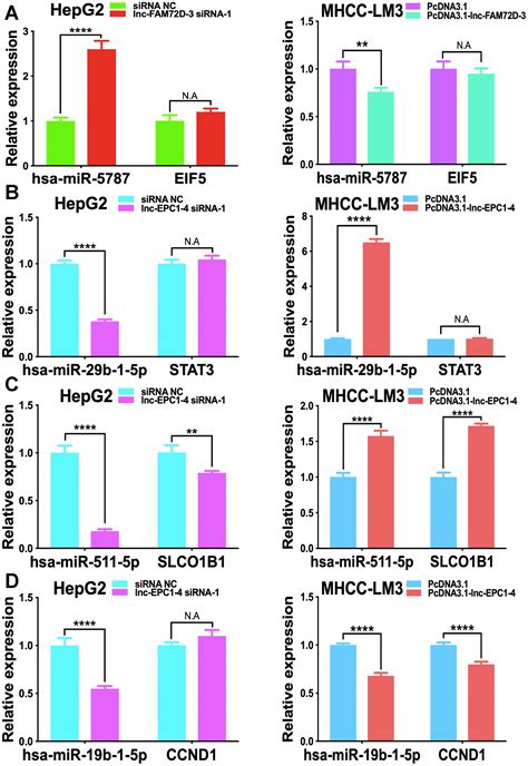 Serum Exosomal Long Noncoding Rnas Lnc Fam72d 3 And Lnc Epc1 4 As