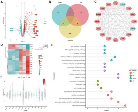 Integrative Analysis Of Single Cell And Bulk Rna Sequencing Unveils The