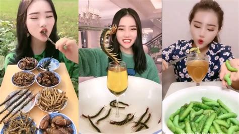 Mukbang Insects Pretty Girl Eating Bugs Raw Youtube