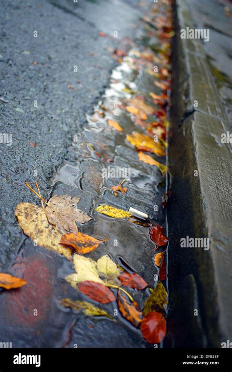 Wet Leaves In Gutter Stock Photo Alamy