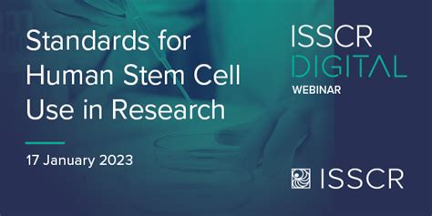 Standards For Human Stem Cell Use In Research Dateful