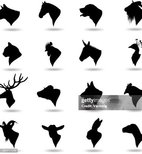 88 Goat Tattoo Stock Photos, High-Res Pictures, and Images - Getty Images