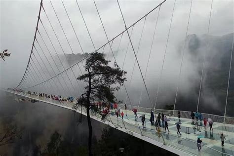 1 Day Zhangjiajie Grand Canyon Glass Bridge Tour World S Tallest And