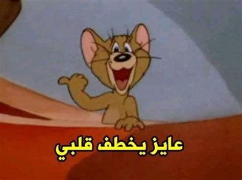 Pin by NA on reaction tom & jerry ~ | Cartoon quotes, Funny photo memes, Funny cartoon quotes