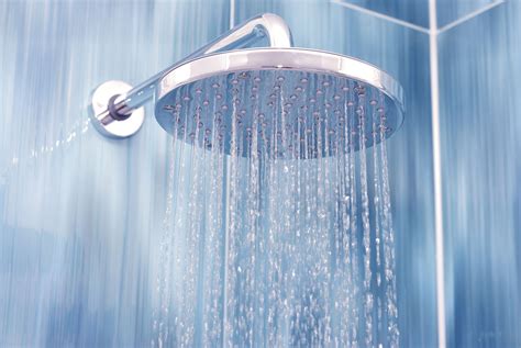 finish  shower head  deborah rivera blog