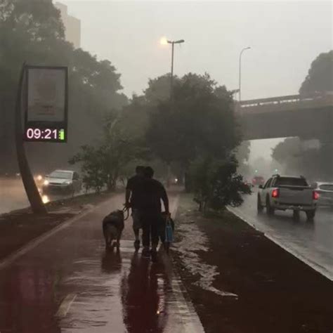 Chuva Forte Rajadas De Vento Faz Sp Entrar Em Estado De Aten O