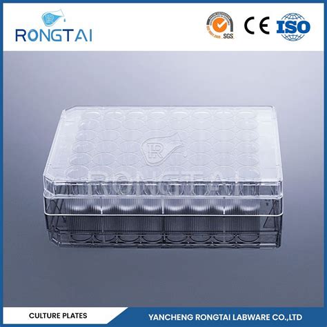 Rongtai Chemistry Lab Equipment Factory Well Tissue Culture Plate