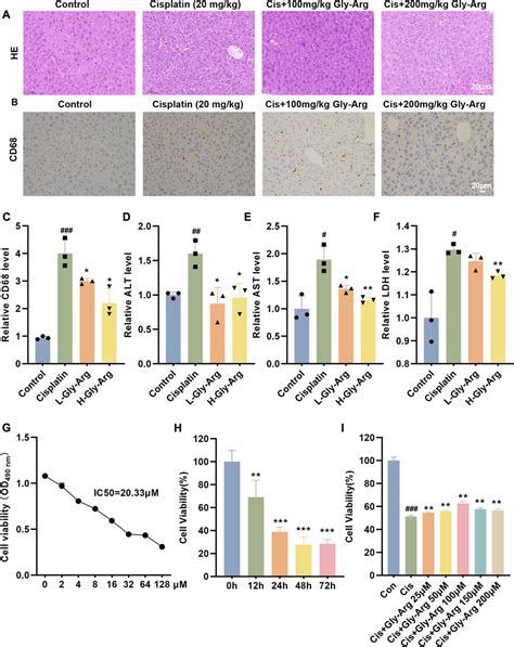 Frontiers Glycyrrhizin Arginine Salt Protects Against Cisplation